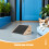 2Pièces Rampe Bois Pour Animaux D'intérieur Avec Surface Antidérapante 7