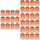 3000Pièces Coupelles D'élevage Plastique Durable 6