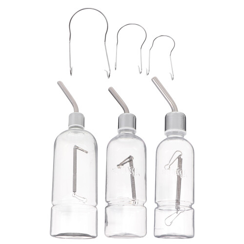 6Pièces Distributeur D'eau Automatique Écureuils Clair