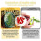 Pottery Herb Stripper Pottery Herb Stripper Herb Peeling Bowl Suitable for Herbs Stirring and Mashing 2