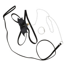 5Sets Outdoor Lizard Leash Met Harness Baardagamen En
