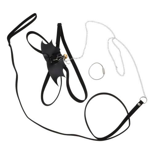 5Sets Outdoor Lizard Leash Met Harness Baardagamen En