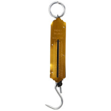 2Pièces Balance Portable Manuelle Crochet Pour Pêche Cuisine
