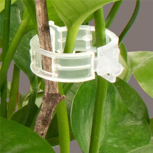 2000Pcs Garden Clips for Vine Crops, Climbing Plants, Flowers - Easy to Use, Disposable and Durable