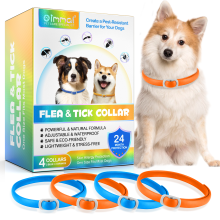 Dog Flea Tick Collar Treatment Adjustable 24 Month Protection Blue/Orange 4 Pack