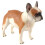 2Pcs Light Brown Plastic Dog Ornament Educational Desktop Toy 1