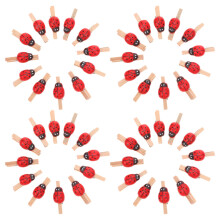 450Pièces Petites Pinces À Linge Bois Coccinelle Pour Cartes Photos