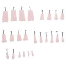 96Pcs Artificial Full Model Removable Teeth for Educational Use
