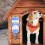 1Pièces Distributeur Chat Automatique Design Cœur 3
