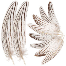 50Pcs Silver Craft Plumes Natural for DIY Dream Catcher Decor