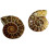 24Pièces Modèles Fossiles Ammonite Multicolores Décoration Éducative 1