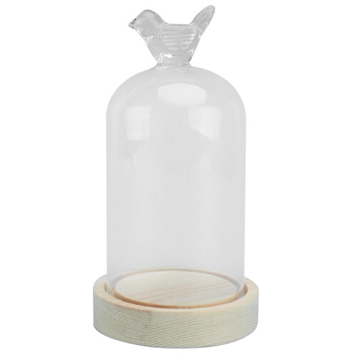 2Pièces Dôme En Verre Transparent Base Bois Décoratif