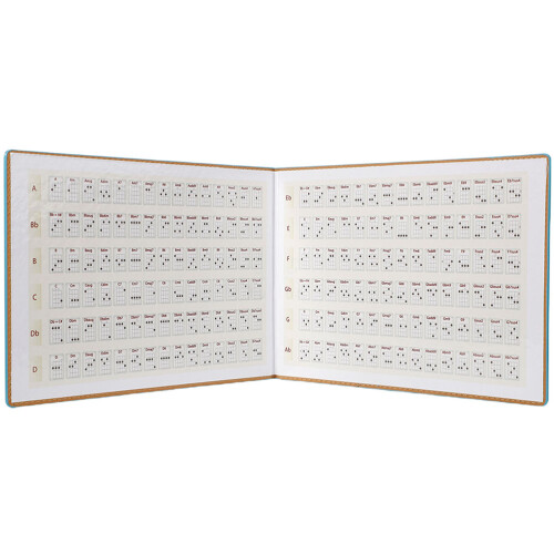 5Pièces Chord Chart Ukulélé Bleu Résistant PU Papier Usage Étudiant