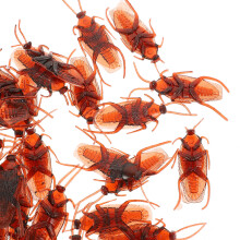 4Pièces Insectes Prank Plastique Look Réel Halloween Couleurs Diverses
