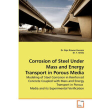 Corrosion of Steel Under Mass and Energy Transport in Porous Media