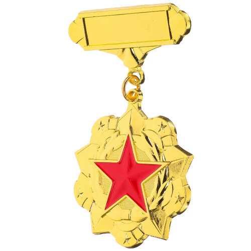 2St Gouden Legering Herinneringsspeld Kinderen Prijs Feest 2