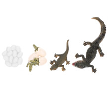 8Sets Assorted Color Life Cycle Figures Kids Educational Toy