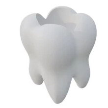 Tooth Pencil Cup Cute Planter Toothbrush Stand Stationery Container Desk Organizer for Home School Workplace