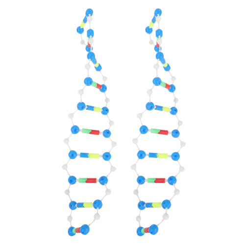 6Stk Kunststoff Dna Modell Doppelhelix Lehrausrüstung Für Schule