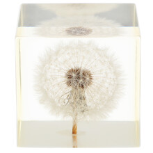 5Pièces Cubes Résine Paperweight Cadeaux Décoration