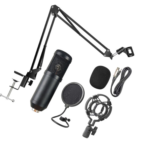 2Sets Pro Cardioid USB Condenser Microphone for Podcasting, Black