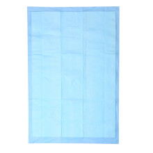 60Pcs Absorbent Sky-Blue Pet Pads Puppy Training Pads for Indoor Use