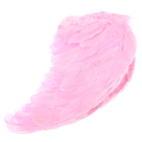 2Pièces Ailes De Roses En Plumes Accessoire Cosplay