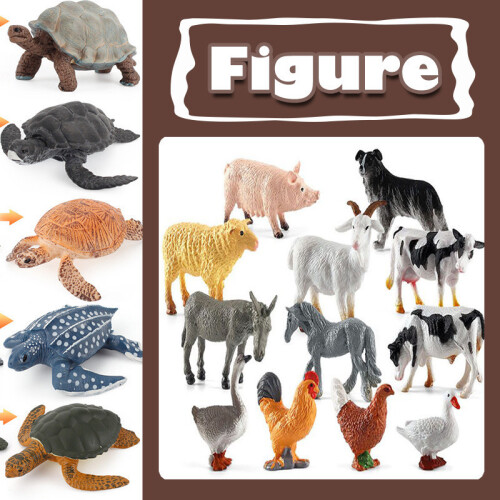 (Sepia)Simulation Solid Turtle Chick Frog Animal Growth Cycle Montessori Teaching Aids 2