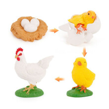 (Rooster)Simulation Solid Turtle Chick Frog Animal Growth Cycle Montessori Teaching Aids