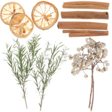 Natuurlijke Gedroogde Voor Handgemaakte Decoratie