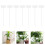 100Pièces Marqueurs Plantes Compact Plastique 10