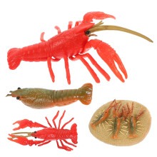 12Pcs Multi Lobster Life Cycle Models Kids Sensory Toys Early Learning