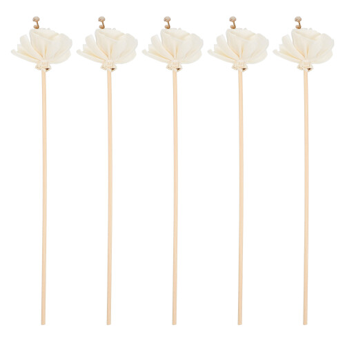 35Pièces Bâtons Diffuseurs Parfumés En Ratan Fleurs Séchées Beige