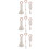 9Pièces Jouet Molaire Coton Clair Sûr Pour Bébé 7