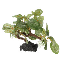 2Pièces Accessoires Vert Pour Aquarium Plantes Simulées