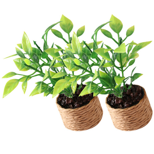 6Ud Decoración Con Plantas En Miniatura Artificiales Multicolor 2