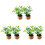 6Ud Decoración Con Plantas En Miniatura Artificiales Multicolor 4
