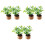 6Ud Decoración Con Plantas En Miniatura Artificiales Multicolor 5