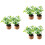 6Ud Decoración Con Plantas En Miniatura Artificiales Multicolor 8