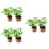 6Ud Decoración Con Plantas En Miniatura Artificiales Multicolor 9