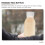 15er-Packung transparente ABS-Saftflaschen, 100 ml 5