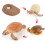 (Sea Turtle2)Simulation Solid Turtle Chick Frog Animal Growth Cycle Montessori Teaching Aids 1