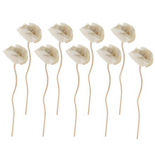 18Pièces Fleurs Séchées Diffuseur Blancs Pour Décoration Maison