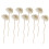 18Pièces Fleurs Séchées Diffuseur Blancs Pour Décoration Maison 1