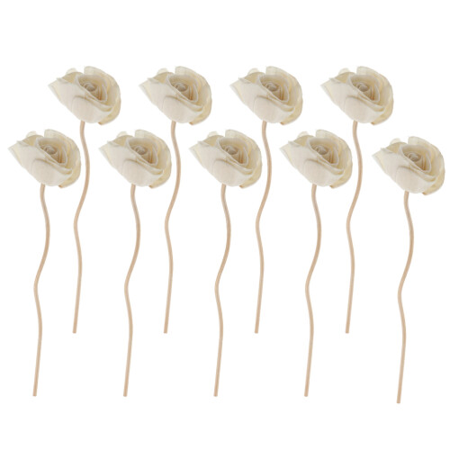 18Pièces Fleurs Séchées Diffuseur Blancs Pour Décoration Maison