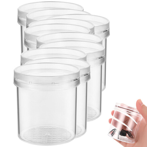 30Pièces Boîtes Insectes Transparentes Pour Observation