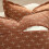 Rust Polyester Pillow Covers 22x22 in, Set of 2 5