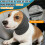 Hundeohrenschützer Grau M Waschbar Elastisch 6