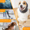 Hundeohrenschützer Grau M Waschbar Elastisch 7