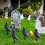 Halloween Crow Ornament Black Plastic Garden and Tree Decor 4